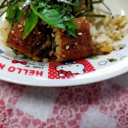 今日は土用のうなぎヽ(´>∀<`*)ﾉわーい！海苔としそでひつまぶし丼(ﾉ*°▽°)ﾉ美味しかったです＼(^^)／